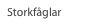 Storkfåglar