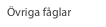 Övriga fåglar