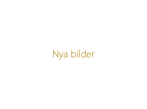 


Nya bilder