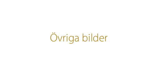 Övriga bilder